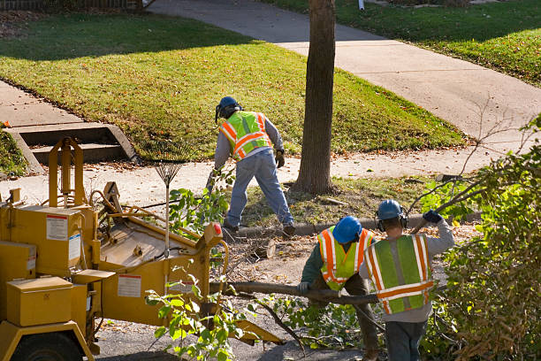 Best Leaf Removal  in Red Hill, SC